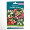SEMILLAS BEGONIA SEMPERFLORENS VERDECORA