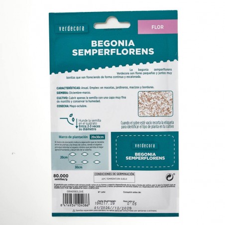 SEMILLAS BEGONIA SEMPERFLORENS VERDECORA