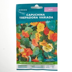 SEMILLAS CAPUCHINA TREPADORA VERDECORA