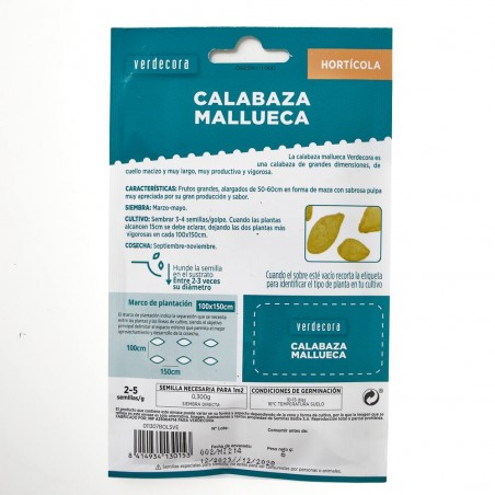 CALABAZA VASCA VERDECORA