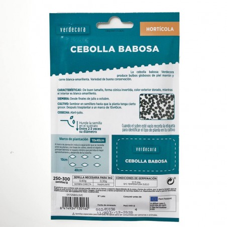 CEBOLLA BABOSA VERDECORA