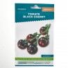 TOMATE BLACK CHERRY VERDECORA
