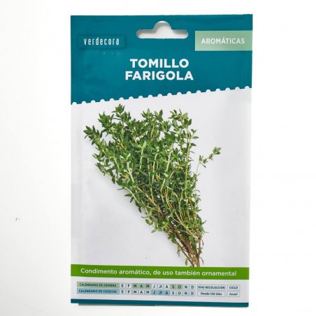 TOMILLO FARIGOLA VERDECORA