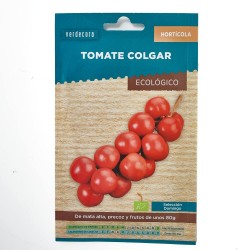 TOMATE DE COLGAR ECO VERDECORA