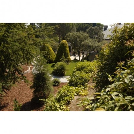 CORTEZA DE PINO DECORATIVA 50 LITROS