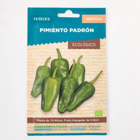 PIMIENTO PADRÓN ECO VERDECORA