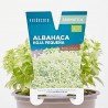 ALBAHACA HOJA PEQUEÑA MACETA 11CM VERDECORA