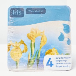 KIT 4 PASOS PLANTACIÓN IRIS AMARILLO