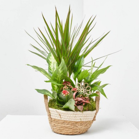 COMPOSICION PLANTAS TONOS ROJOS BASE YUTE D21