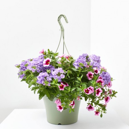 FLORES COMBINADAS TARRINA 22CM