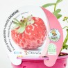 FRESA FRAMBERRY MACETA 11CM