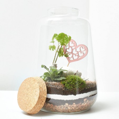 TERRARIO NAKAPE D17 H25CM