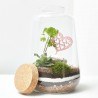 TERRARIO NAKAPE D17 H25CM