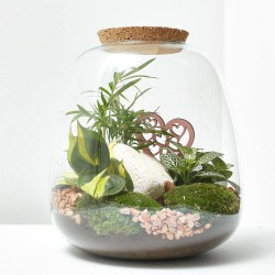 TERRARIO MOLY_COTTA_ D 23,5 H25CM
