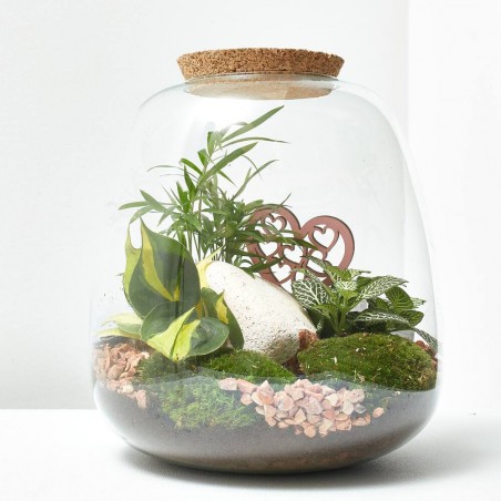 TERRARIO MOLY_COTTA_ D 23,5 H25CM