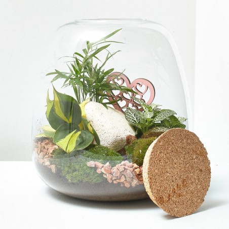 TERRARIO MOLY_COTTA_ D 23,5 H25CM