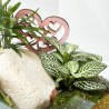 TERRARIO MOLY_COTTA_ D 23,5 H25CM