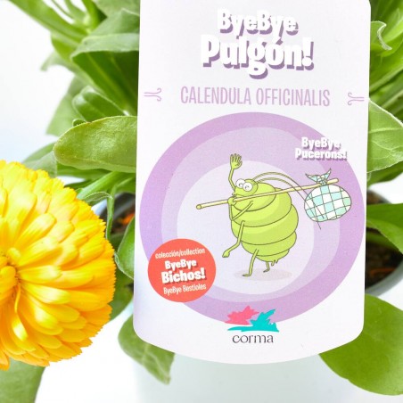 COLECCIÓN BYE BYE BICHOS! M-13