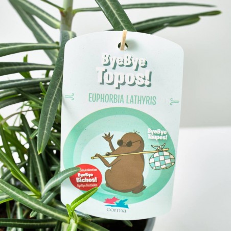 COLECCIÓN BYE BYE BICHOS! M-13