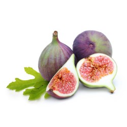 HIGUERA SURTIDO VARIADO