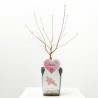 PRUNUS DE FLOR MACETA 5L