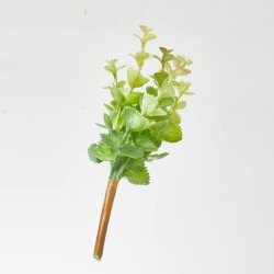PICK SUCCULENT. 22 CM. VERDE.