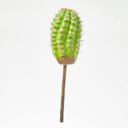 PICK ECHINOCERUS. 25 CM. VERDE.