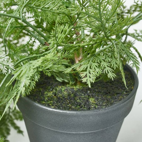 MACETA ASPARAGUS. 81 CM. VERDE