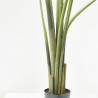TRAVELLER PALM X 8. 152 CM. VERDE