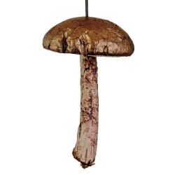 SETA 13CM