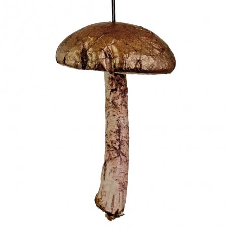 SETA 13CM