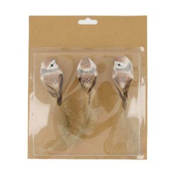 SET X 3 PÁJAROS MARRONES