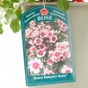 ROSAL BABYLON 4L
