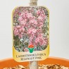 LAGERSTROEMIA INDICA PINK VELOUR LV 9 MINI A