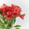 RAMO ALSTROEMERIAS ROJAS