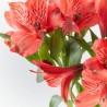 RAMO ALSTROEMERIAS ROJAS