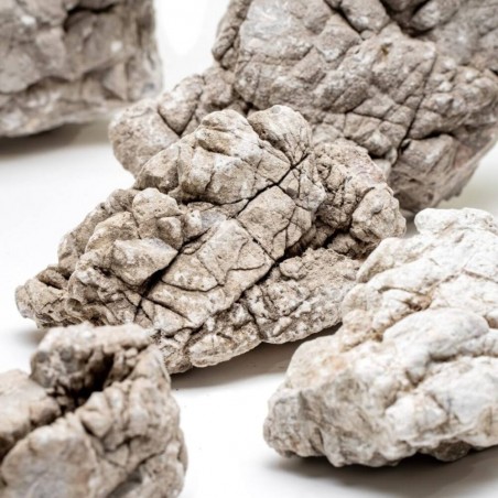 ROCA RIVEREST TRULY STONE S