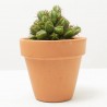 CACTUS MIX MACETA 9CM