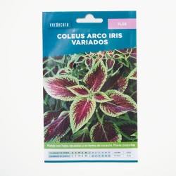 SEMILLAS COLEO VARIADO VERDECORA