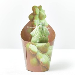 MYRTILLOCACTUS GEOMETRIZANS MACETA 6.5CM