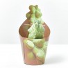 MYRTILLOCACTUS GEOMETRIZANS MACETA 6.5CM