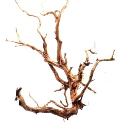 MADERA RIVEREST RASAMALA BROWN XS