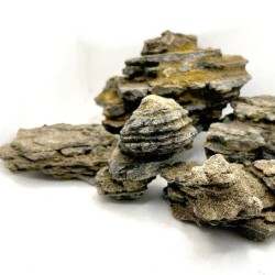 ROCA RIVEREST IRON STONE S