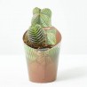 CRASSULA TEMPLO DE BUDA MACETA 6.5CM