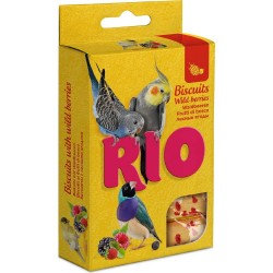 RIO BIZCOCHOS SEMILLAS SALUDABLES 35G