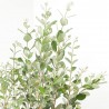 FEIJOA 10L