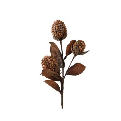 VARA CON MEGABERRIES 75CM