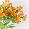 RAMO ALSTROEMERIAS NARANJA
