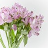 RAMO ALSTROEMERIAS MORADA