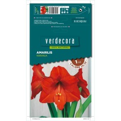 BULBO AMARILIS NARANJA 1 UD